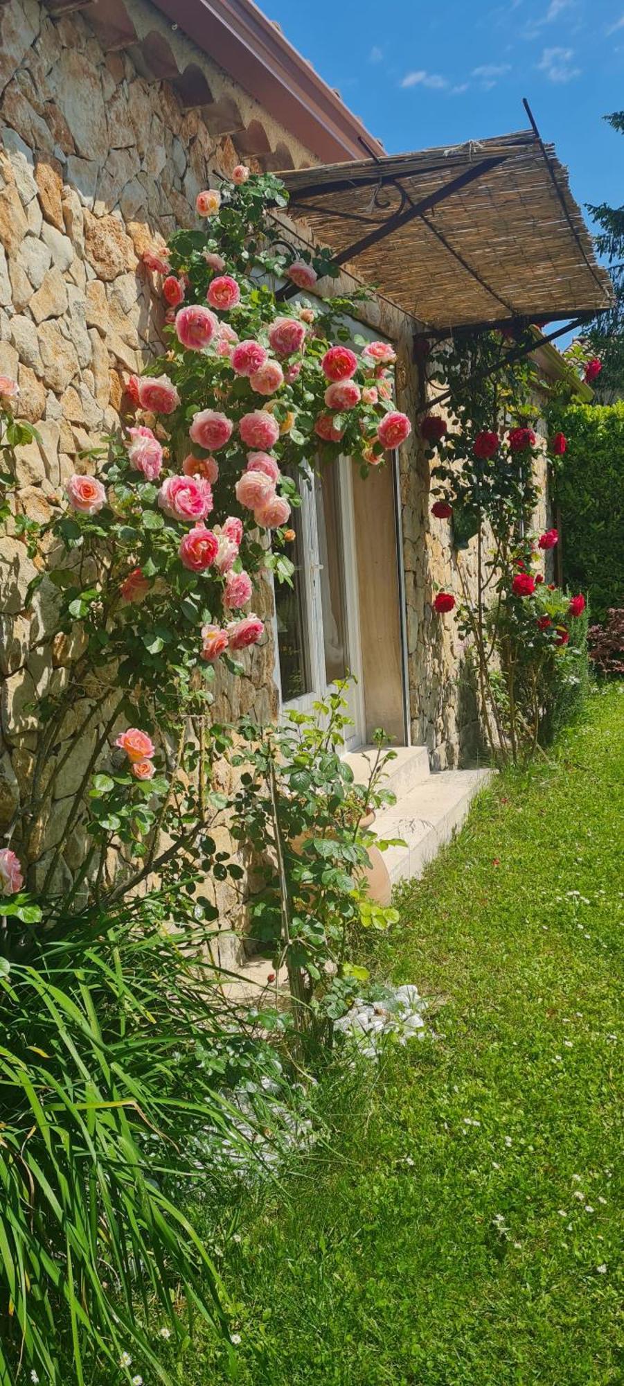 Petit Gite De Provence Мазан Экстерьер фото